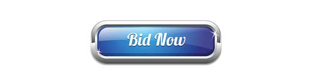 BID NOW!